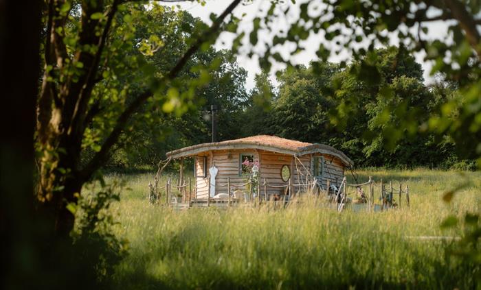 Exclusive rustic cabin surrounded by a treelined wildflower meadow - Luxury Glamping Cabin Carmarthenshire, West Wales